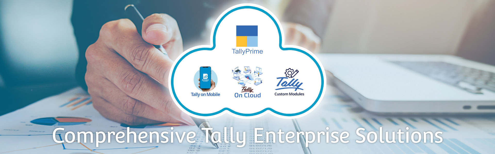 Comprehensive Tally Enterprise Solutions